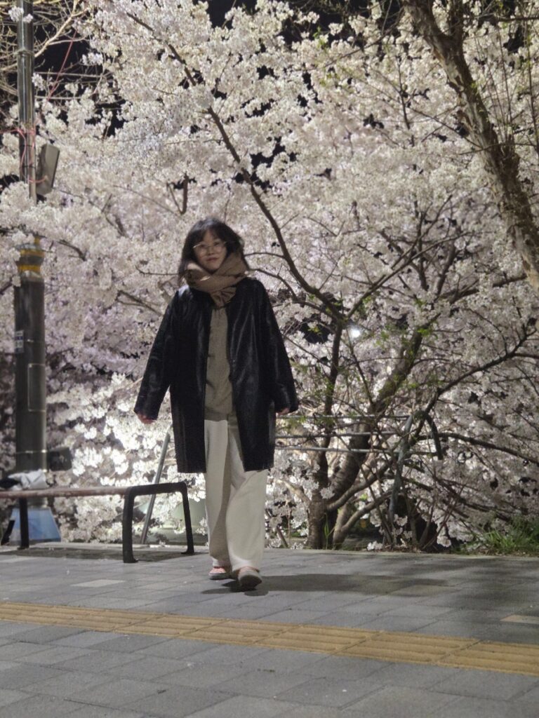 A person walking under cherry blossom trees at night in Korea